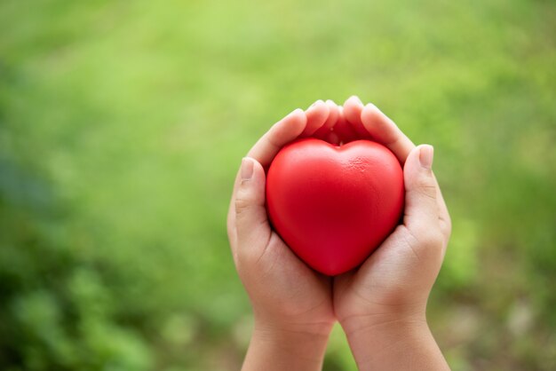 Bambino che tiene cuore di gomma rosso