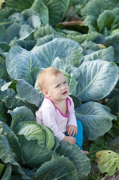 Bambino in pianta di cavolo