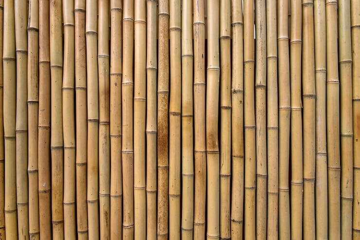 Foto gratuito bamboo texture