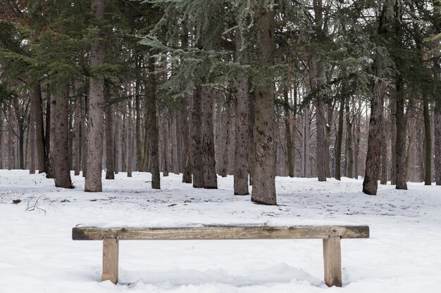 Banco di legno vuoto coperto di neve nella foresta di inverno