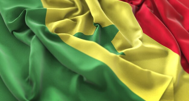 Bandiera del Senegal Ruffled Splendamente Sventolando Macro Close-Up Shot