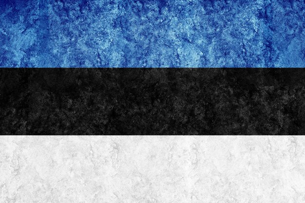 Bandiera metallica dell'Estonia, bandiera strutturata, bandiera del grunge