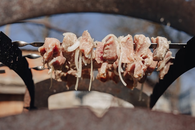 Barbecue alla brace in natura