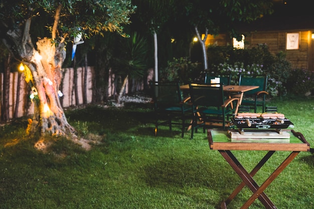 Barbecue di notte nel giardino