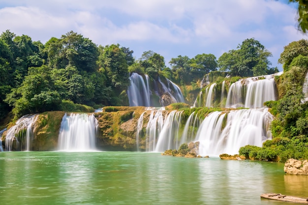 Barca selvatica di foresta di caduta flusso cina