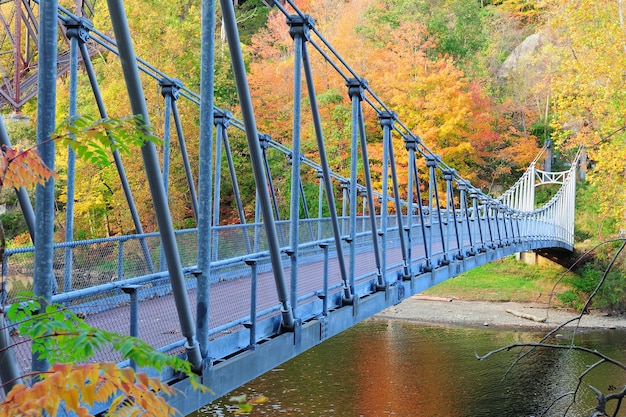 Bear Mountain con il fiume Hudson e il ponte in autunno con fogliame colorato.