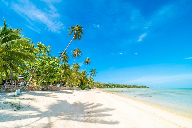 Bei mare e sabbia della spiaggia tropicale con l&#39;albero del cocco su cielo blu e sulla nuvola bianca