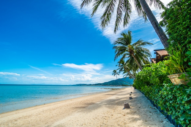 Bei mare e sabbia della spiaggia tropicale con l&#39;albero del cocco su cielo blu e sulla nuvola bianca