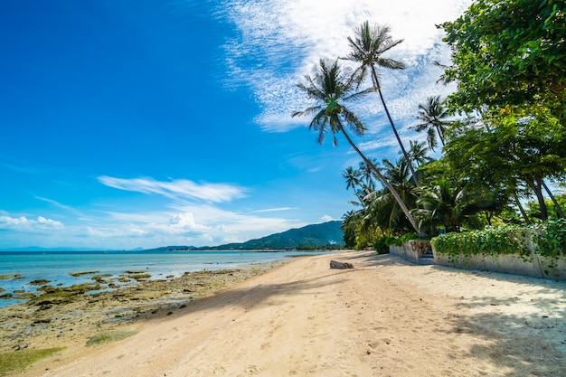 Bei mare e sabbia della spiaggia tropicale con l&#39;albero del cocco su cielo blu e sulla nuvola bianca