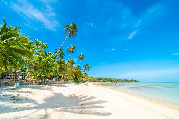 Bei mare e sabbia della spiaggia tropicale con l&#39;albero del cocco su cielo blu e sulla nuvola bianca