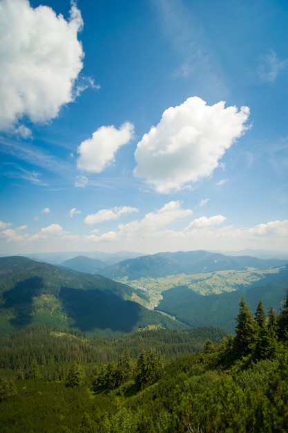 Bei prati verdi sulle montagne carpatiche in Ucraina