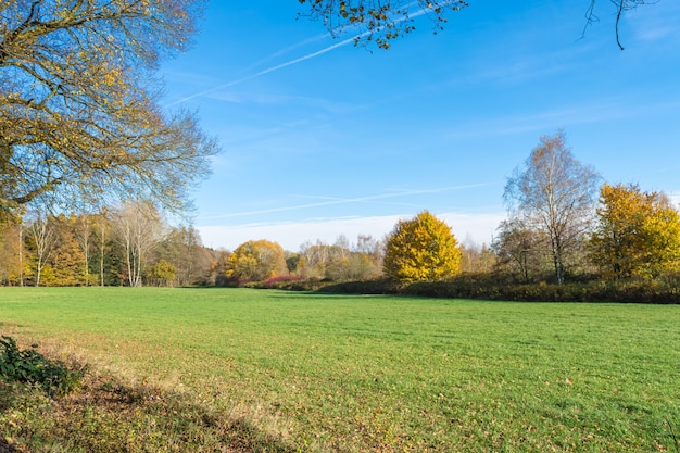 Bel colpo di paesaggio verde sotto il cielo blu chiaro