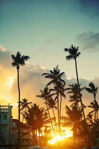 Bel tramonto in un resort sulla spiaggia ai tropici