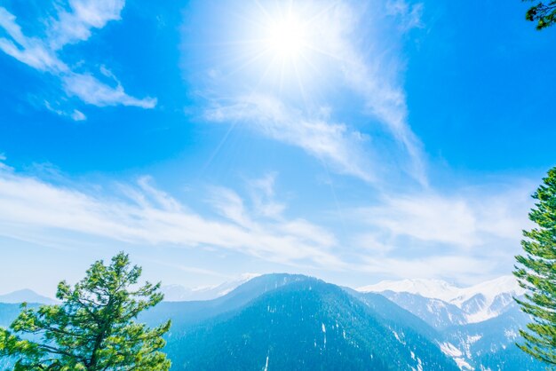 Bella albero e neve coperto montagne paesaggio dello stato di Kashmir, India