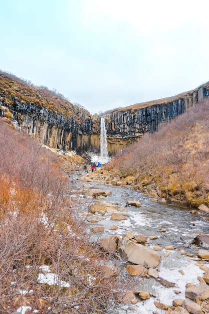 Bella cascata famosa in Islanda, stagione invernale.