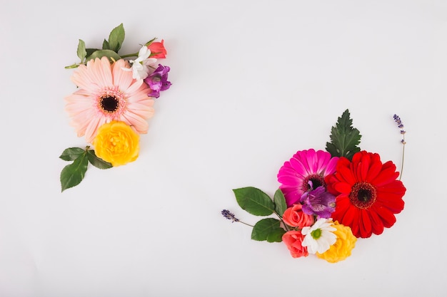 Bella composizione di fiori su bianco