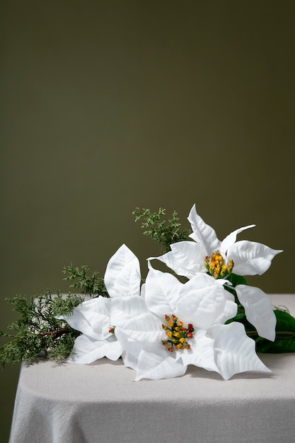 Bella composizione di poinsettia bianca