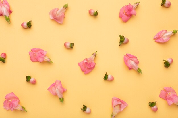 Bella composizione piatta di fiori