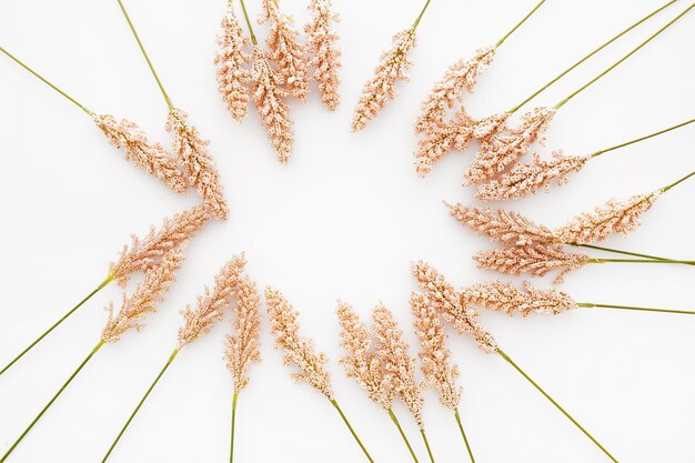 Bella composizione realizzata con foglie di grano su sfondo bianco