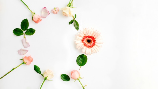 Bella cornice rotonda realizzata con gerbera e rose colorate su sfondo bianco