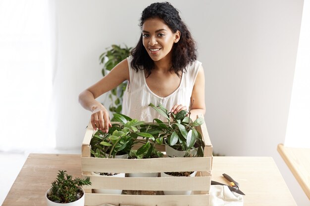 Bella donna africana che sorride prendendosi cura delle piante in scatola nel luogo di lavoro. Copia spazio.