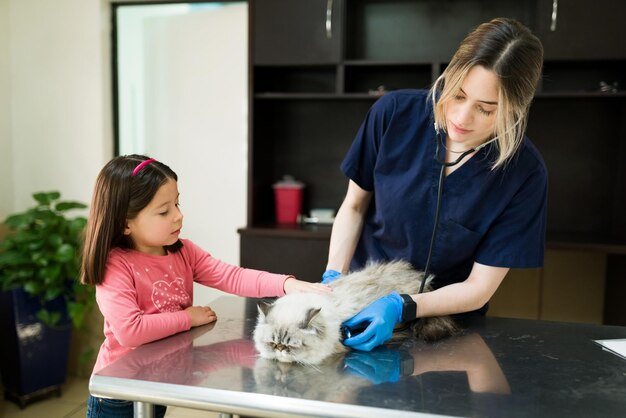 Bella donna che lavora come veterinario professionista usando uno stetoscopio per ascoltare il cuore di un vecchio gatto persiano presso la clinica degli animali. Bambina che porta il suo gatto dal veterinario