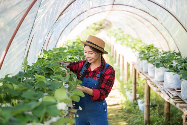 Bella donna del coltivatore che controlla l&#39;azienda agricola della fragola