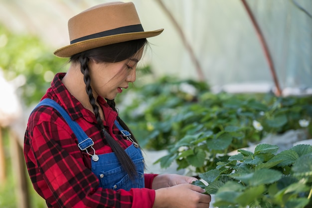 Bella donna del coltivatore che controlla l&#39;azienda agricola della fragola