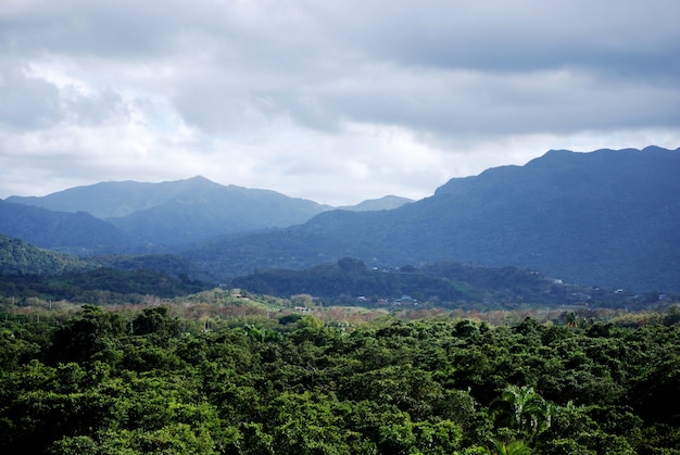 Bella foresta pluviale lussureggiante e catena montuosa in Porto Rico.
