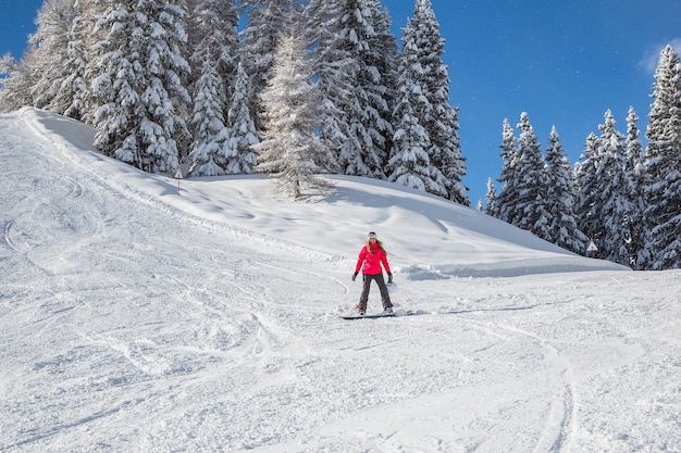 Bella giornata invernale