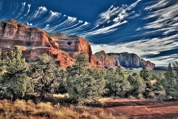 Bella immagine di colline rocciose arancioni e alberi di fogliame sotto il grande cielo di giorno a Sedona