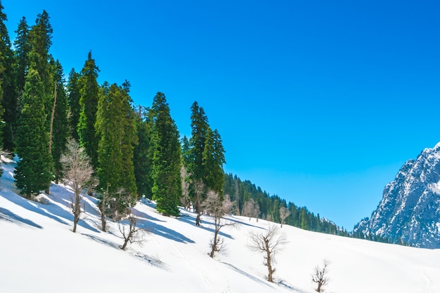 Bella montagne innevate paesaggio dello stato di Kashmir, India.