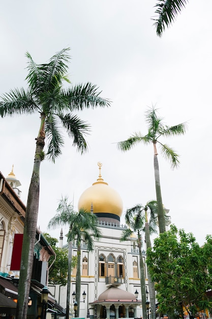 bella moschea e palme a Singapore