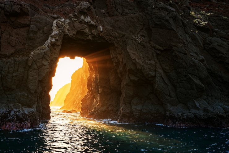 Foto gratuito bella natura tropicale