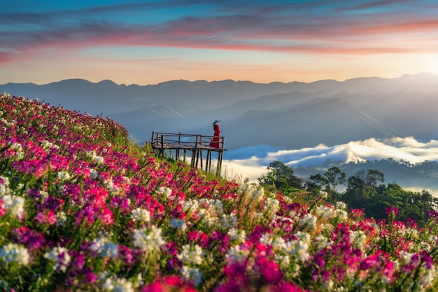 Bella ragazza che gode ai campi di fiori e al punto di vista di alba nella provincia di Tak