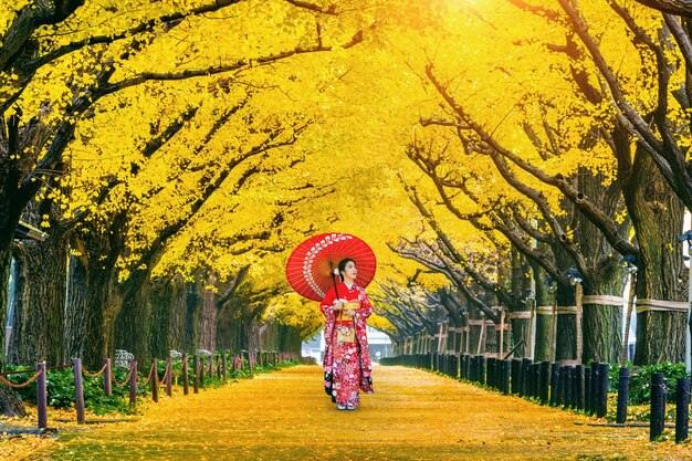 Bella ragazza che indossa il kimono tradizionale giapponese alla fila dell'albero di ginkgo giallo in autunno. Parco d'autunno a Tokyo, Giappone.