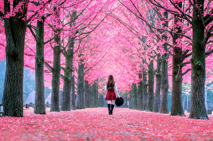 Foto gratuito bella ragazza con foglie rosa a nami island, corea del sud