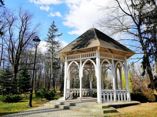 Bella ripresa del pergolato nel Parco Norweski a Jelenia Góra, Polonia