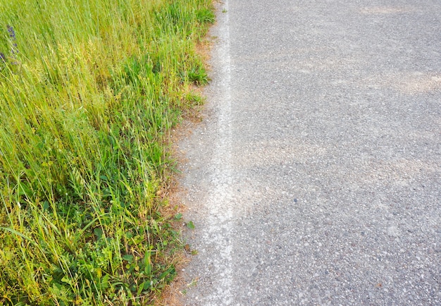 Bella ripresa dell'erba sul bordo della strada, perfetta per lo sfondo