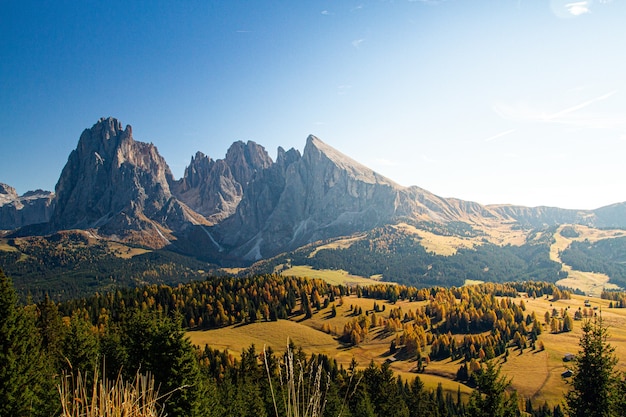 Bella ripresa della dolomia con montagne e alberi sotto un cielo blu in Italia