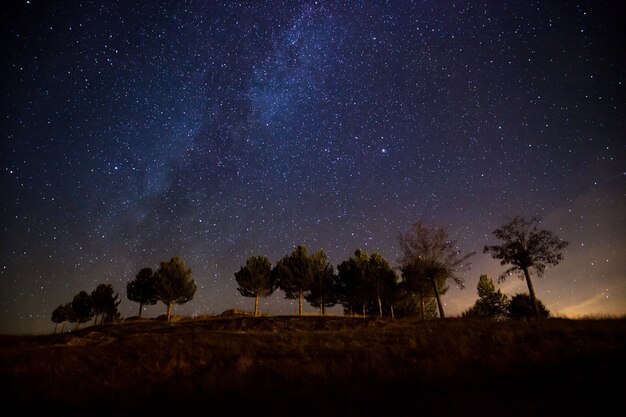 Bella ripresa della via lattea sopra una collina con pochi alberi di notte