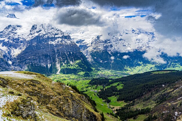 Bella ripresa delle alpi innevate e delle verdi vallate di Grindelwald, Svizzera