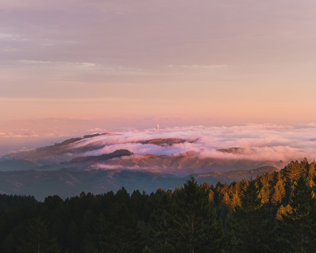 Bella ripresa di alberi verdi e montagne tra le nuvole in lontananza