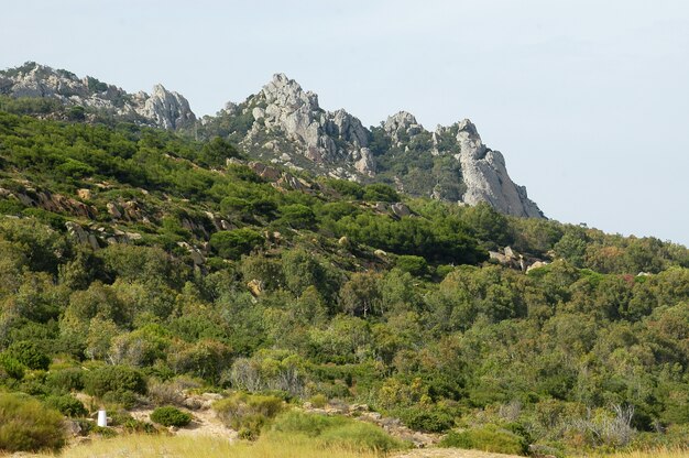 Bella ripresa di picchi di montagna e una collina completamente ricoperta di alberi