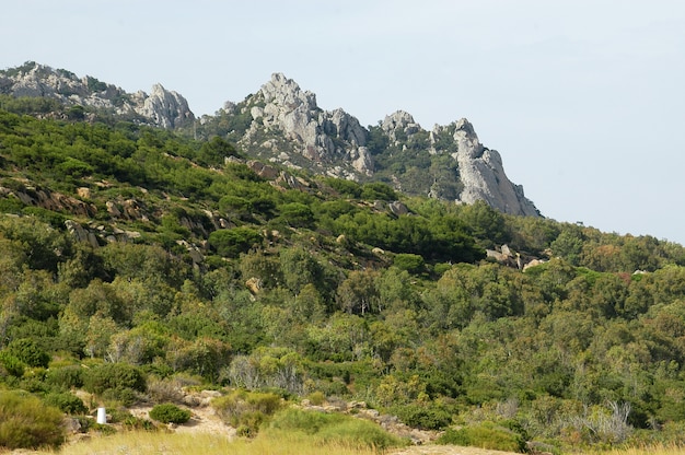 Bella ripresa di picchi di montagna e una collina completamente ricoperta di alberi