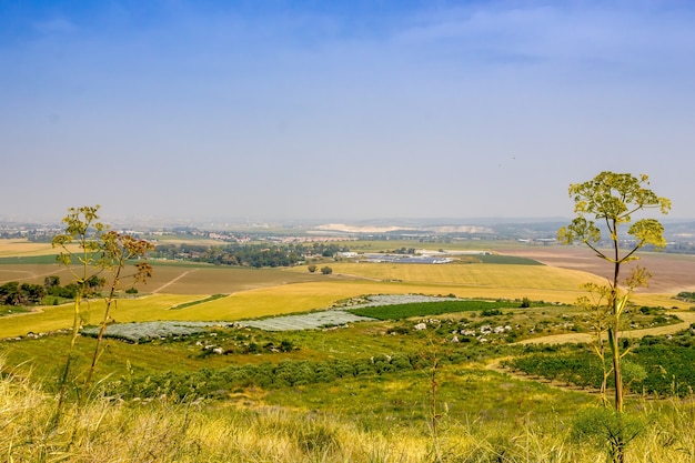 Bella ripresa di un campo con un cielo blu chiaro