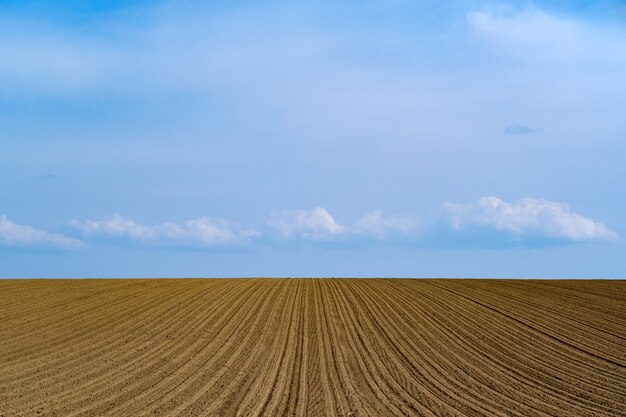 Bella ripresa di un campo di fattoria appena arato su un cielo blu