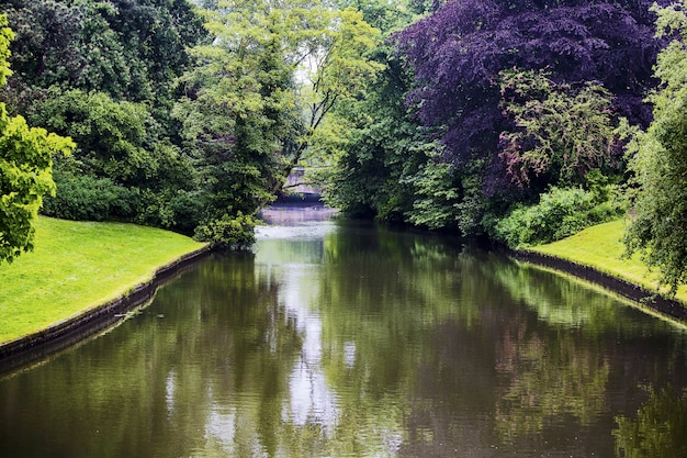 Bella ripresa di un canale con alberi riflessi sull'acqua