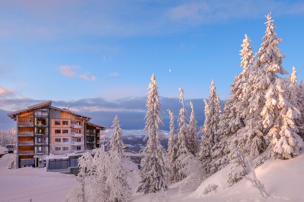 Bella ripresa di un edificio residenziale in una terra di neve