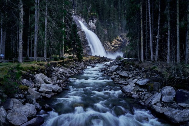 Bella ripresa di un fiume proveniente da una cascata in una foresta con alti abeti rossi